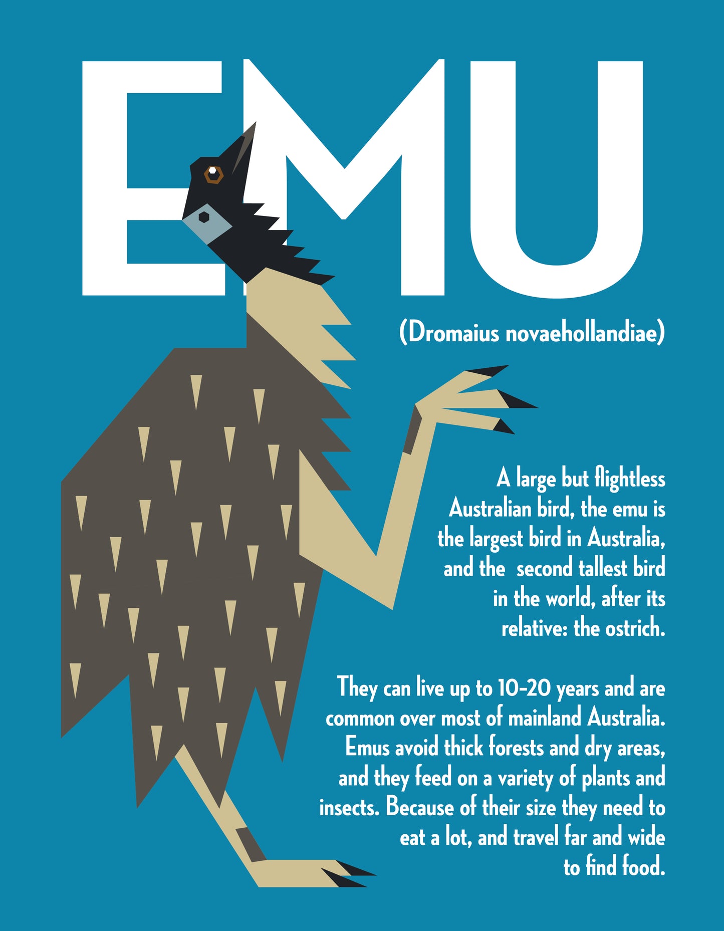 Emu Vector Infographic Art Print