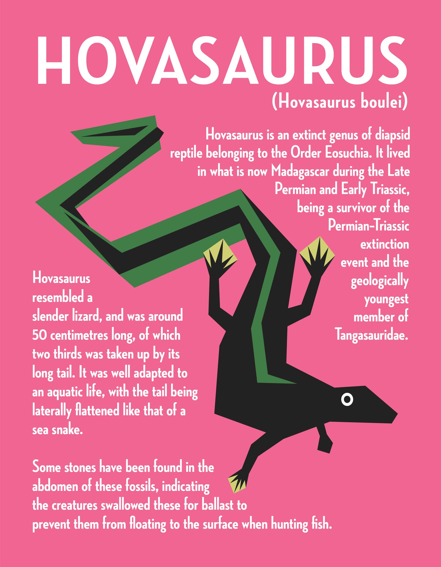 Hovasaurus Vector Infographic Art Print