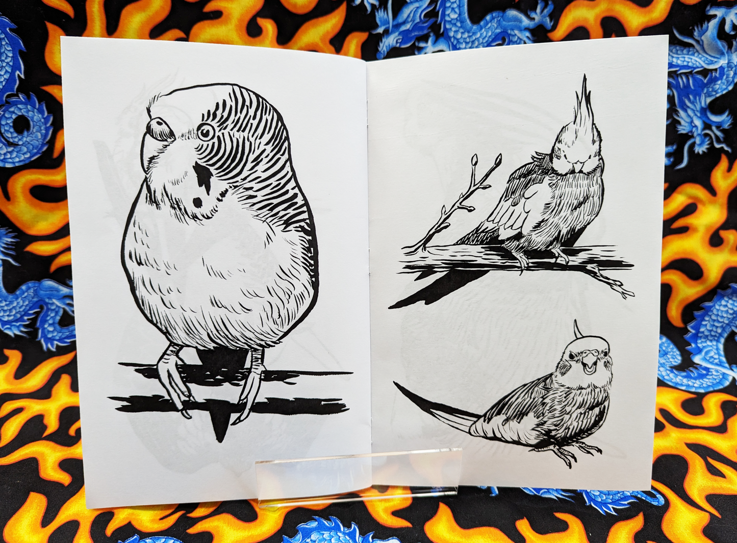 Inktobird Illustration Zine