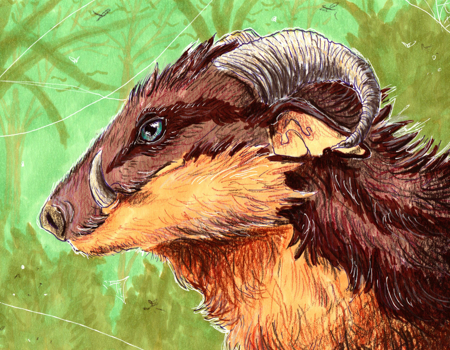 Boar Dragon Bust Color Pencil and Marker Art Print