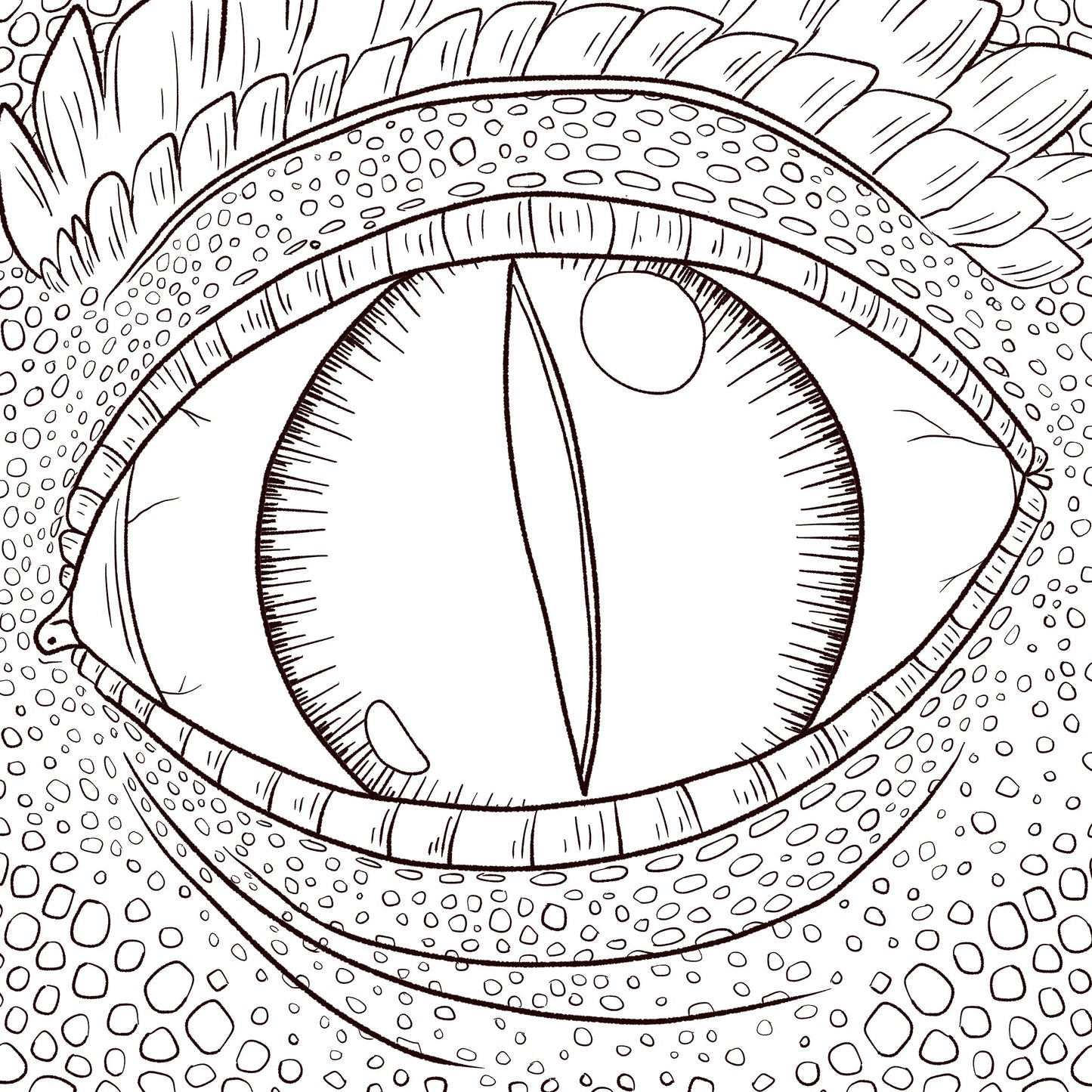 Dragons and Dragons and Dragons: A Coloring Book (Classic)
