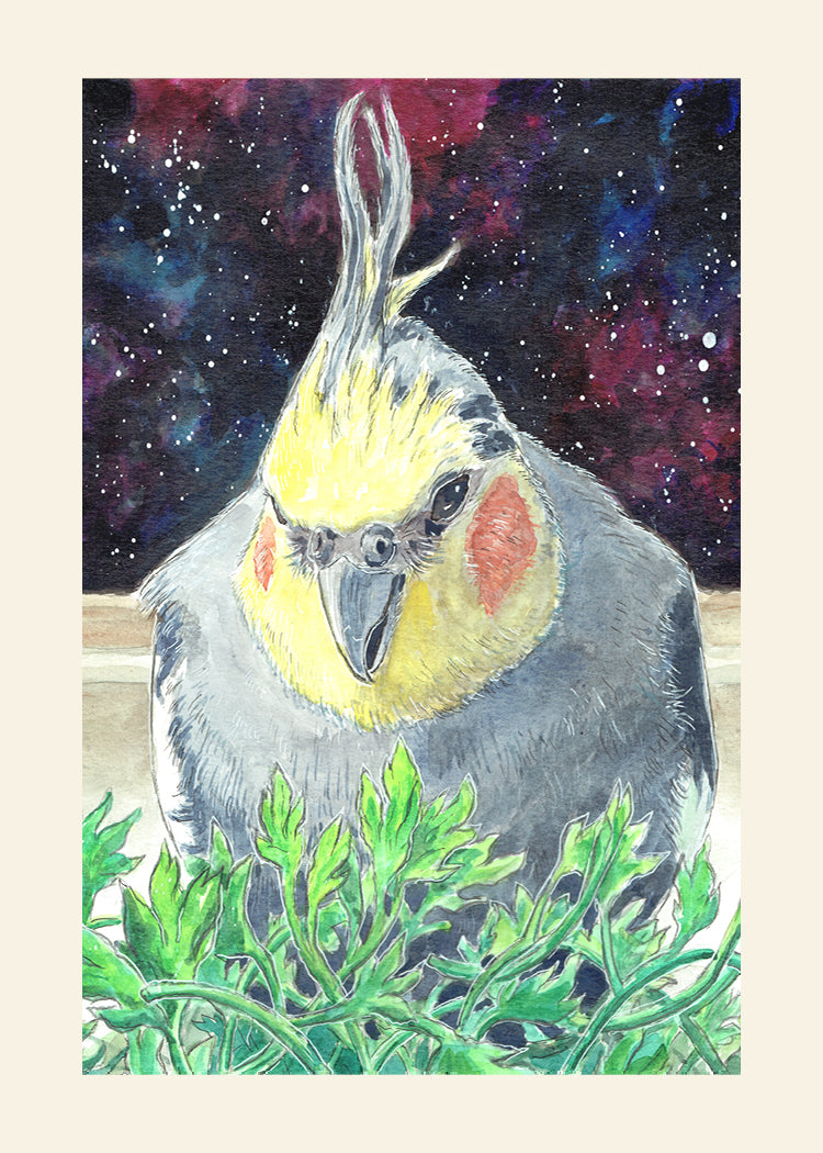 Cockatiel with Parsley Watercolor Art Print