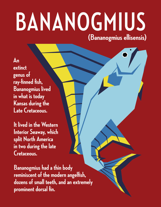 Bananogmius Vector Infographic Art Print