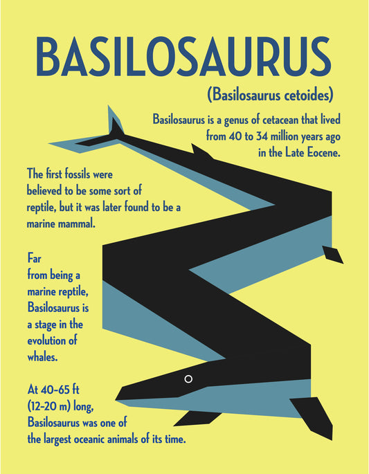 Basilosaurus Vector Infographic Art Print