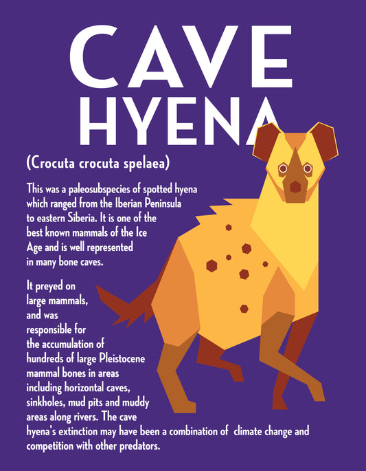 Cave Hyena Vector Infographic Art Print