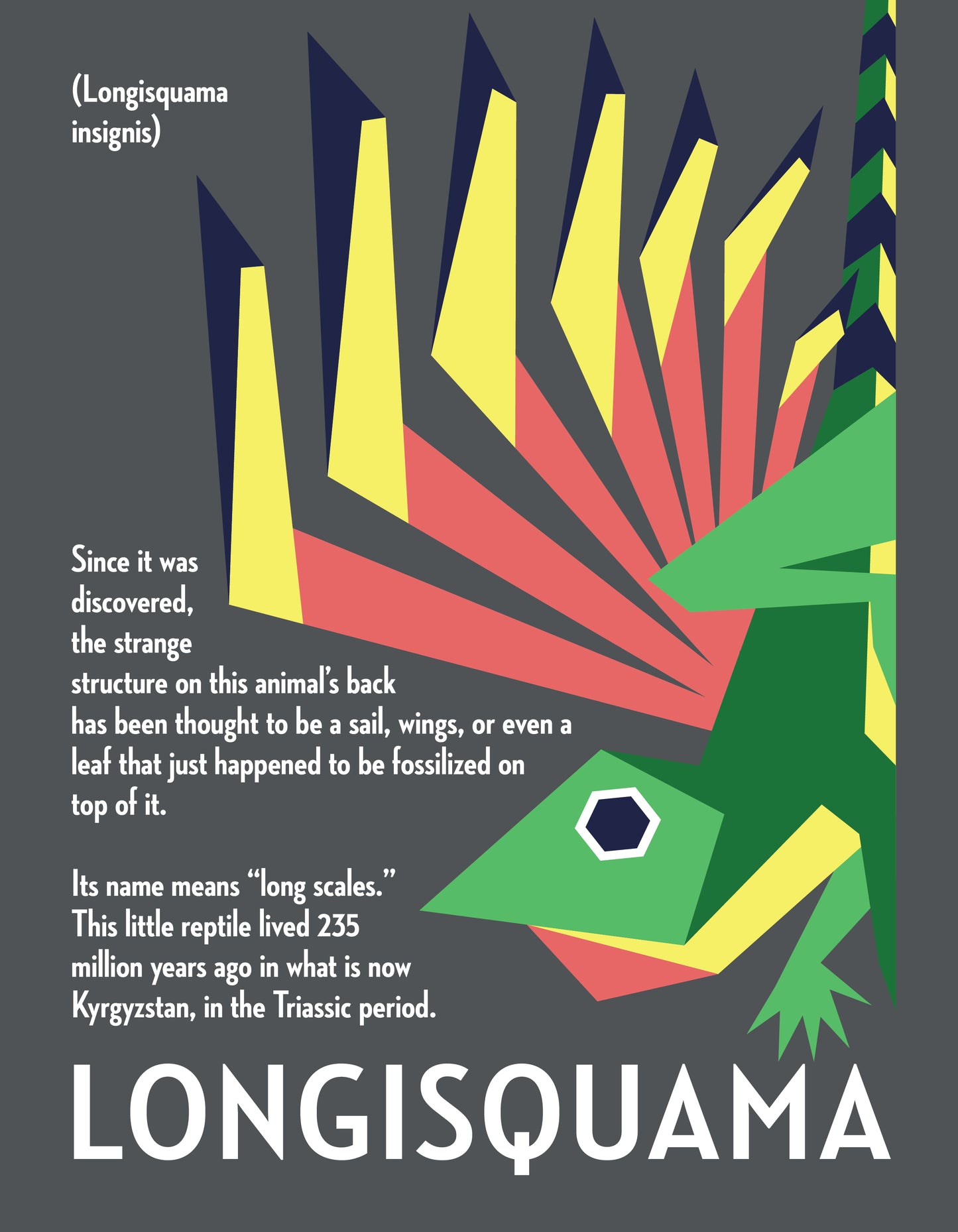 Longisquama Vector Infographic Art Print