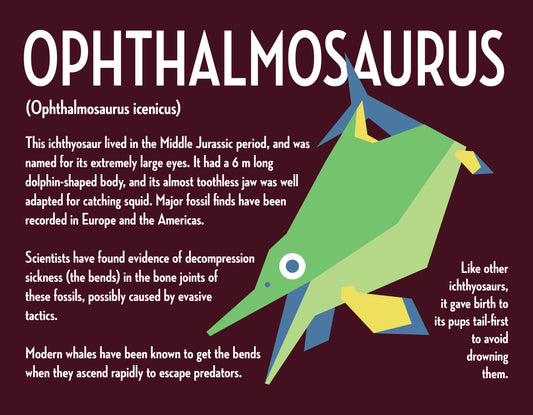 Ophthalmosaurus Vector Infographic Art Print