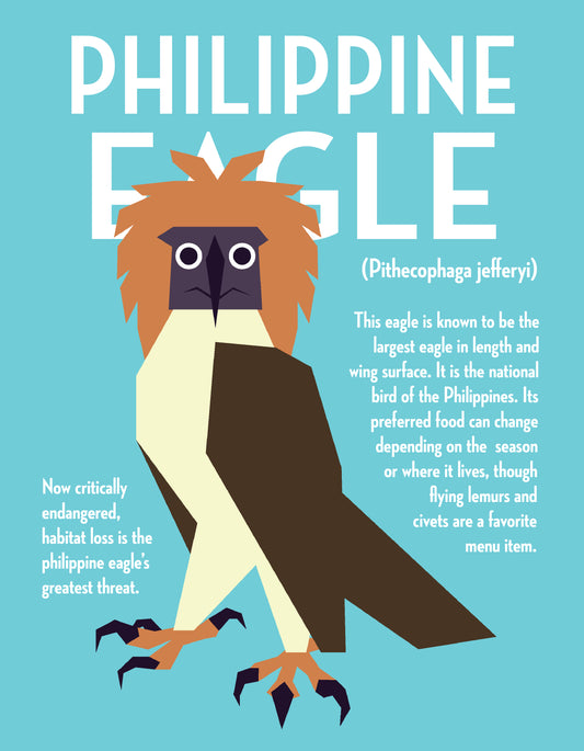 Philippine Eagle Vector Infographic Art Print