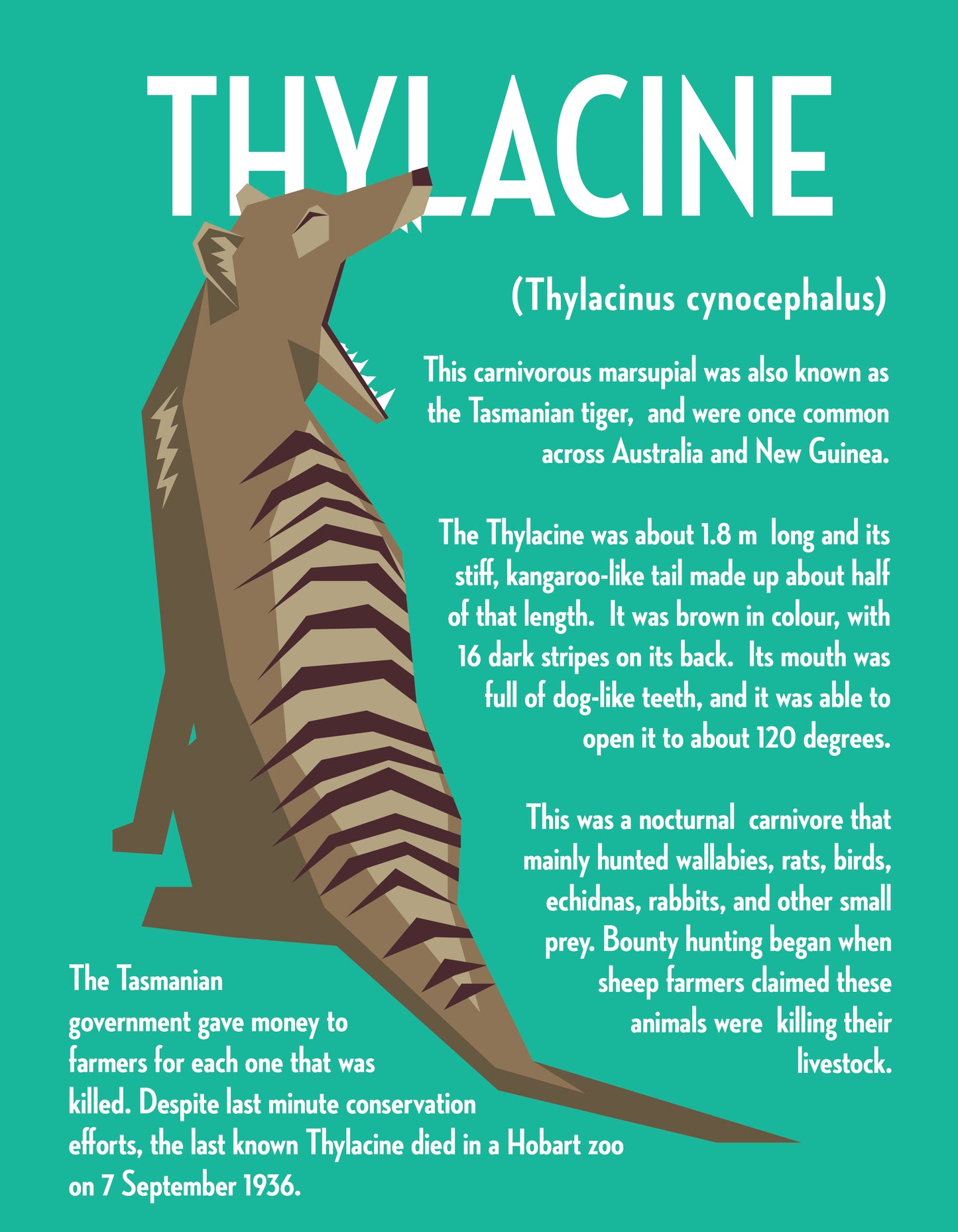 Thylacine Vector Infographic Art Print