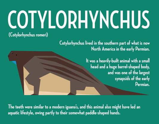 Cotylorhynchus Vector Infographic Art Print
