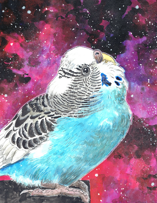 Stargazing Budgie Watercolor Art Print