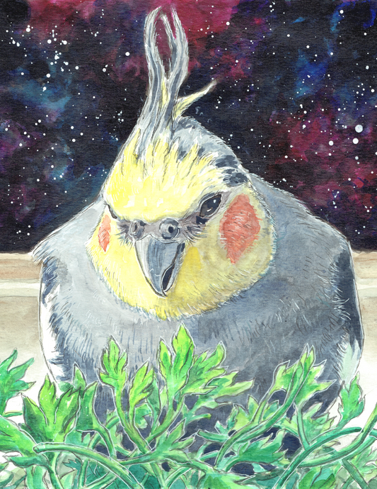 Cockatiel with Parsley Watercolor Art Print